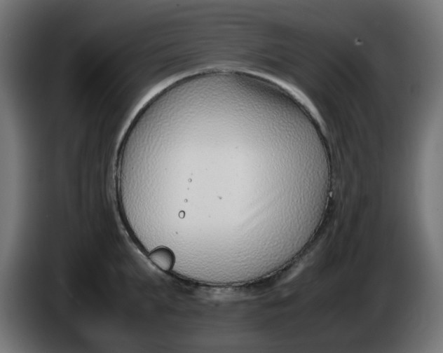 X0000086040903200704131932
