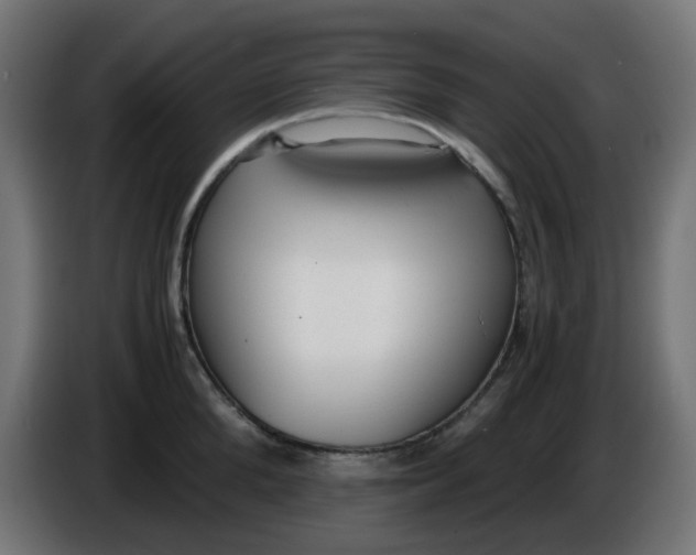 X0000086040904200704131932