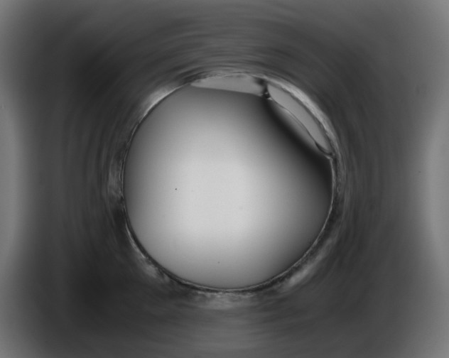 X0000086040905200704131932
