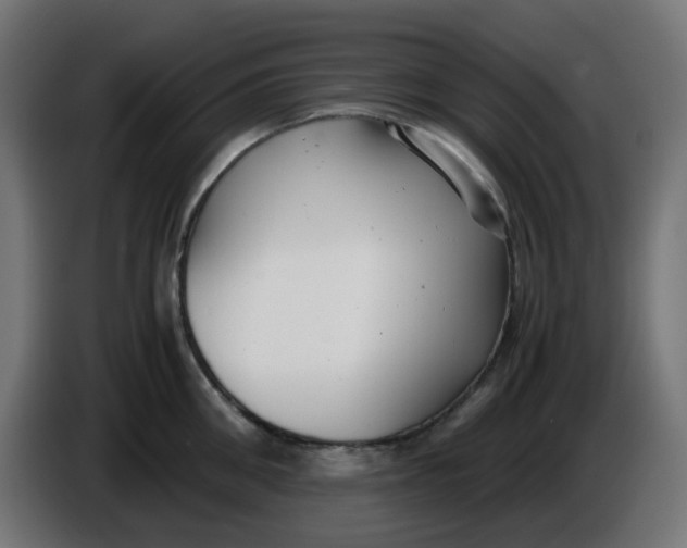 X0000086040906200704131932