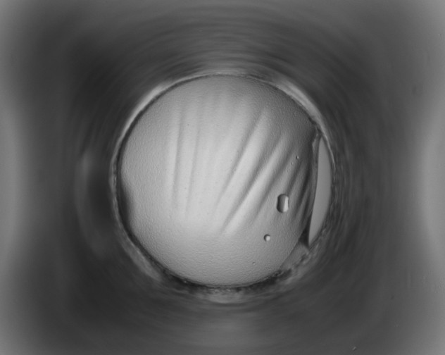 X0000086040907200704131932