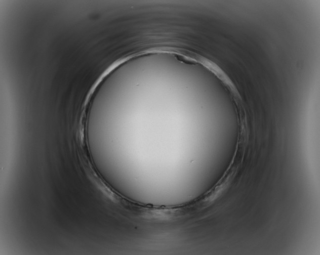 X0000086040908200704131932
