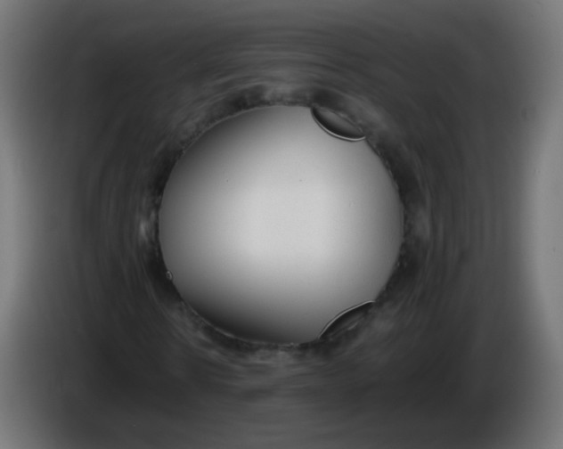 X0000086040914200704131931