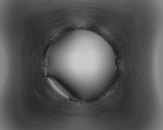 X0000086040916200704131931