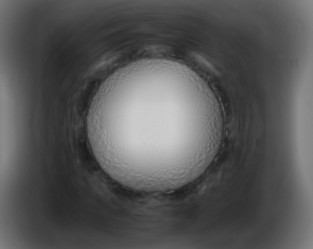 X0000086040917200704131931