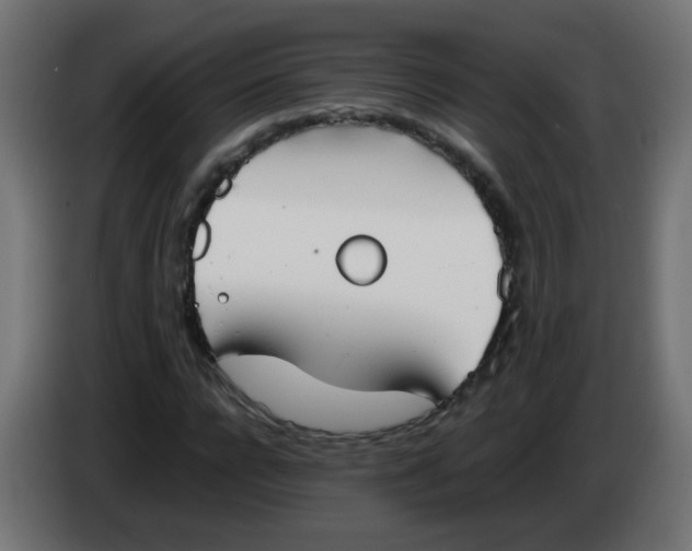 X0000086040920200704131931