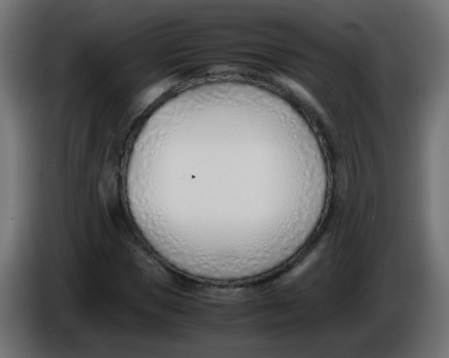 X0000086040921200704131931