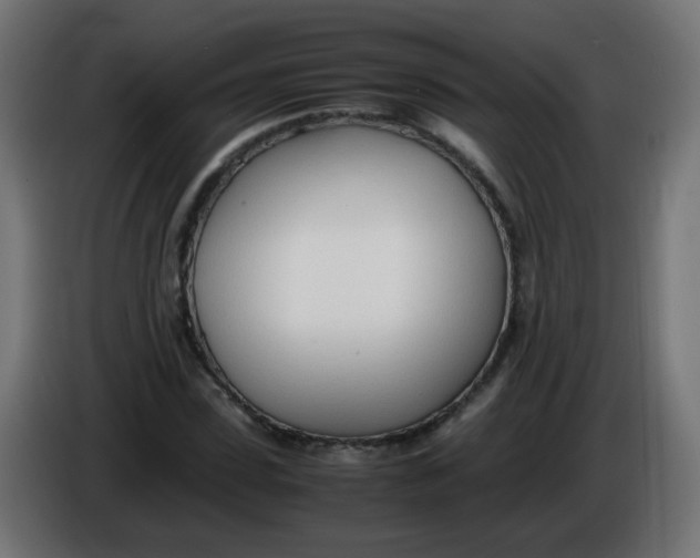 X0000086040923200704131931