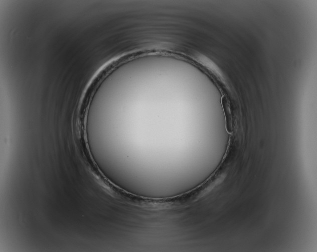 X0000086040924200704131931