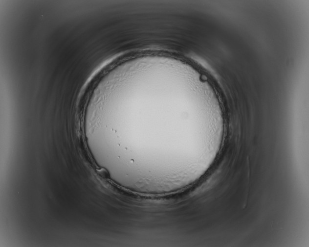 X0000086040925200704131931