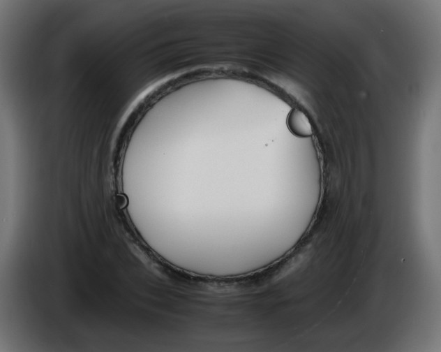 X0000086040927200704131931