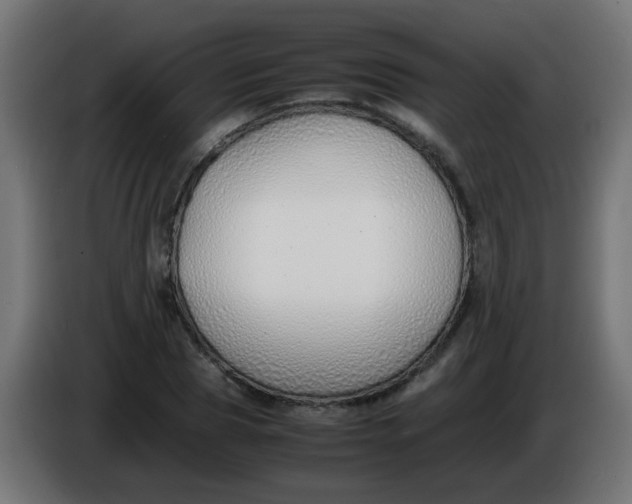 X0000086040929200704131931