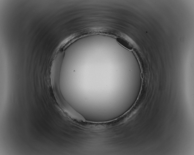 X0000086040930200704131931