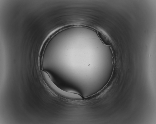 X0000086040932200704131931