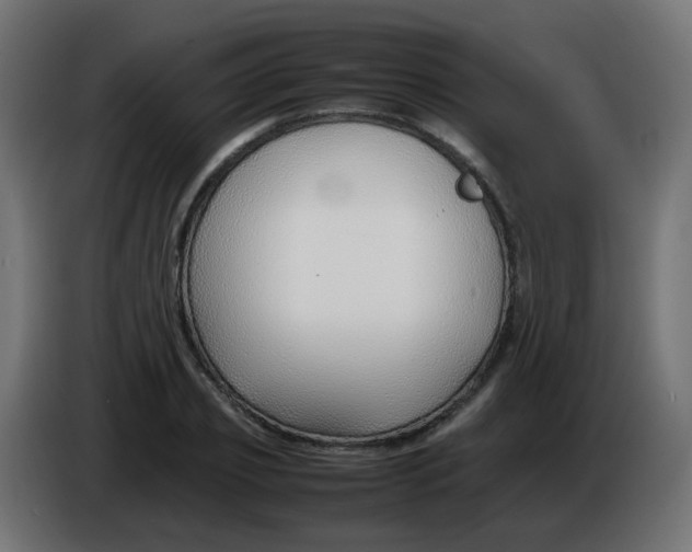 X0000086040933200704131931