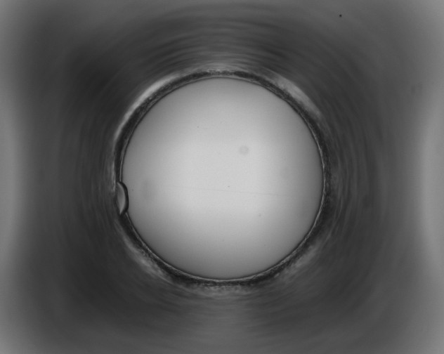 X0000086040934200704131931
