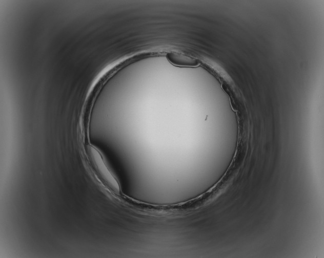 X0000086040936200704131931