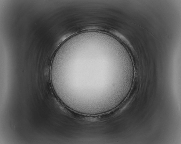 X0000086040937200704131931