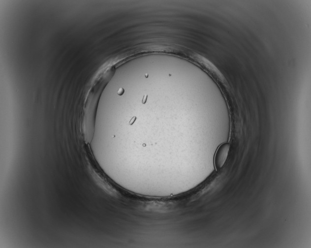 X0000086040938200704131931