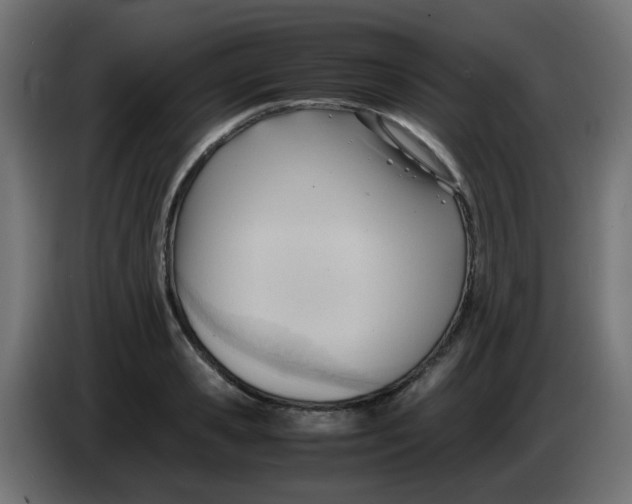 X0000086040941200704131931