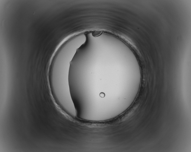 X0000086040942200704131931