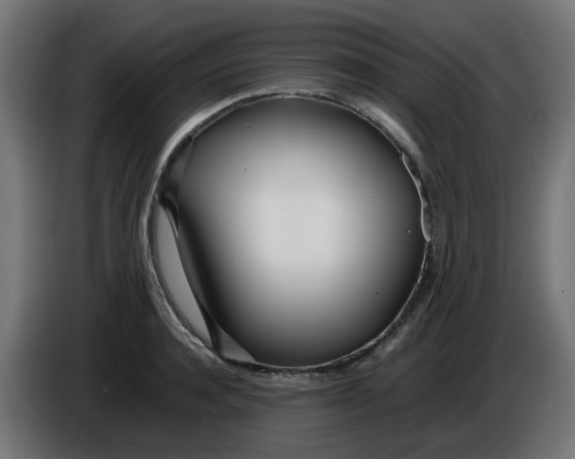 X0000086040944200704131932