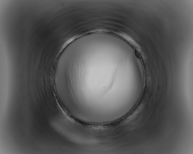 X0000086040945200704131932