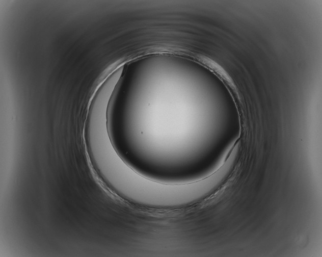 X0000086040946200704131932