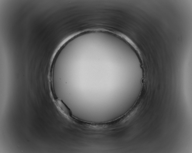 X0000086040951200704131932