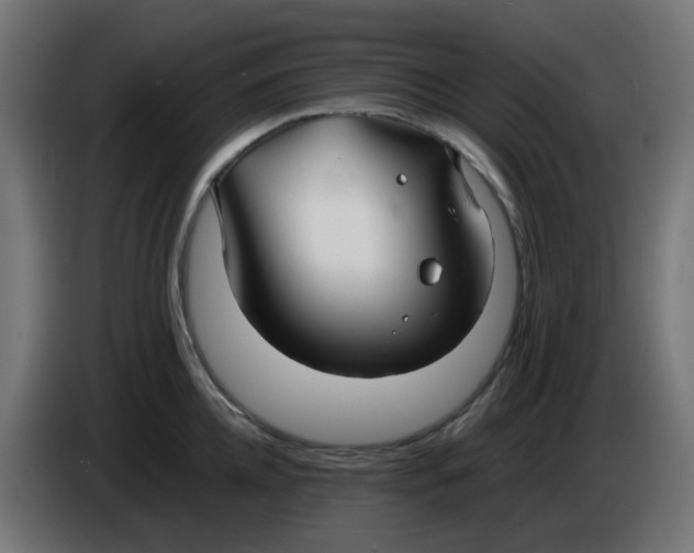 X0000086040952200704131932