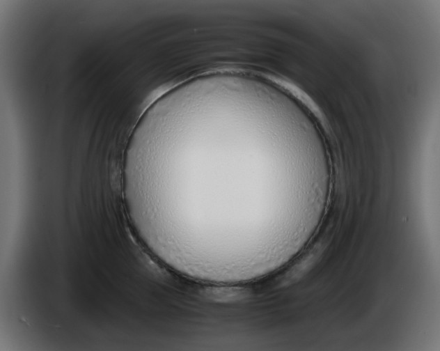 X0000086040953200704131932