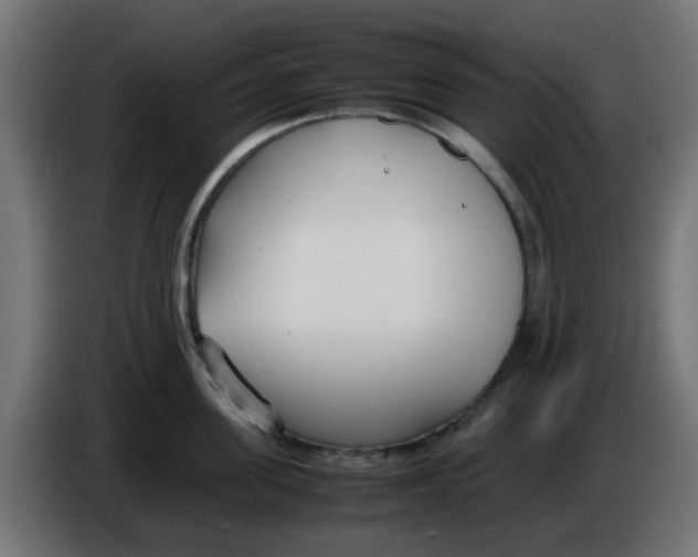 X0000086040955200704131932