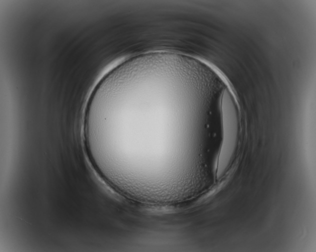 X0000086040957200704131932