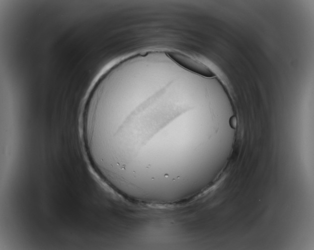 X0000086040958200704131932