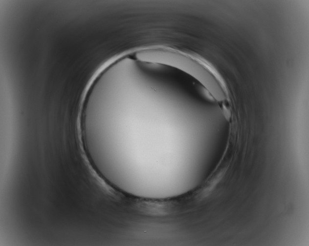 X0000086040959200704131932