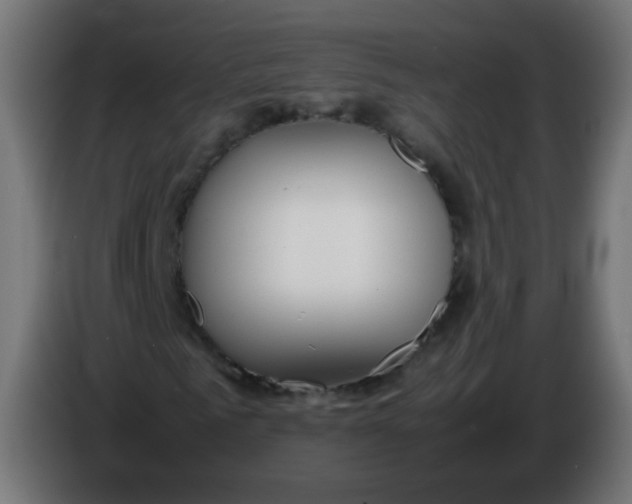 X0000086040961200704131931