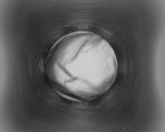 X0000086040962200704131931