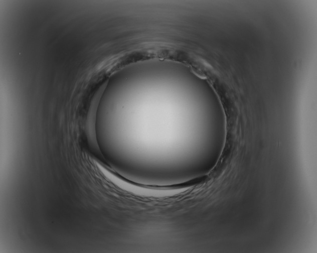 X0000086040965200704131931