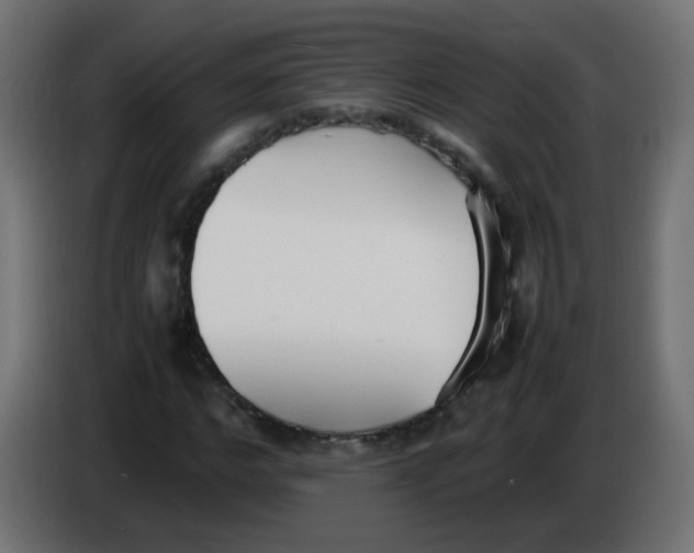 X0000086040968200704131931