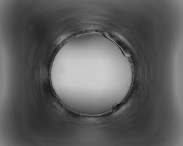 X0000086040969200704131931