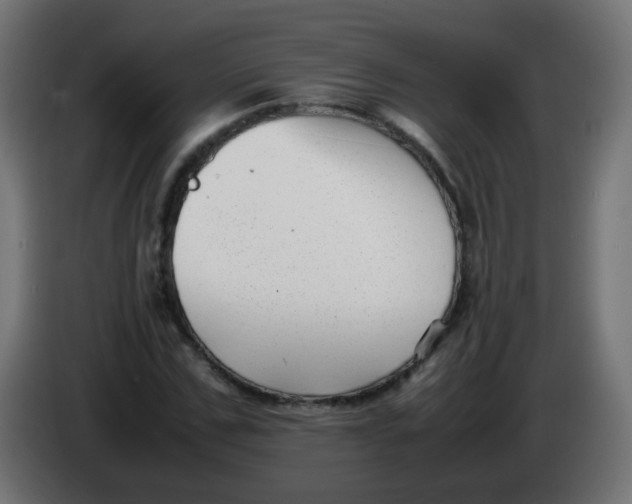 X0000086040971200704131931