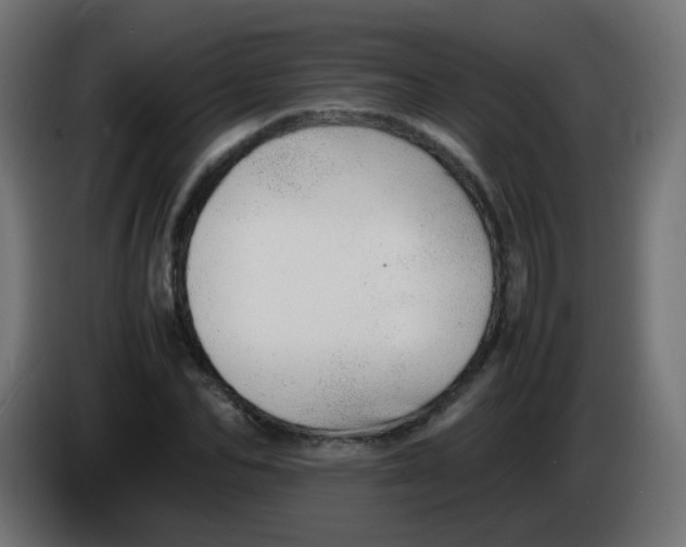 X0000086040974200704131931