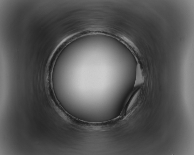 X0000086040976200704131931