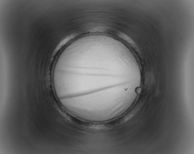 X0000086040978200704131931