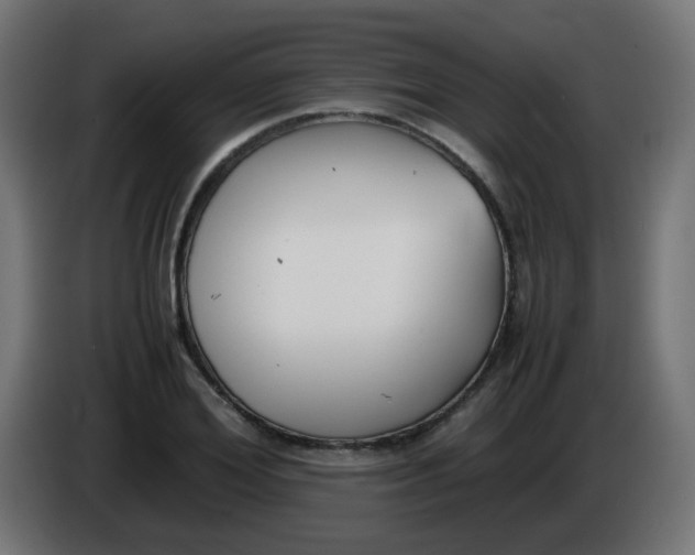 X0000086040980200704131931