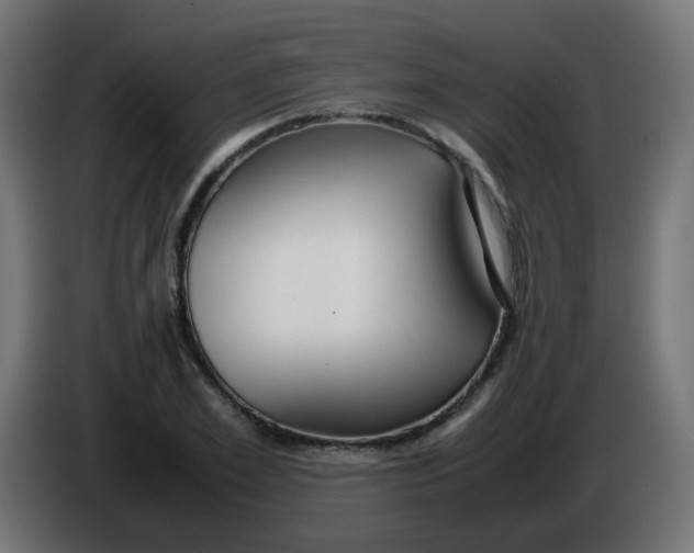 X0000086040981200704131931