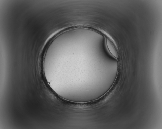 X0000086040983200704131931