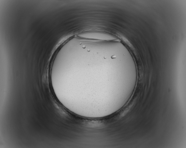 X0000086040986200704131931