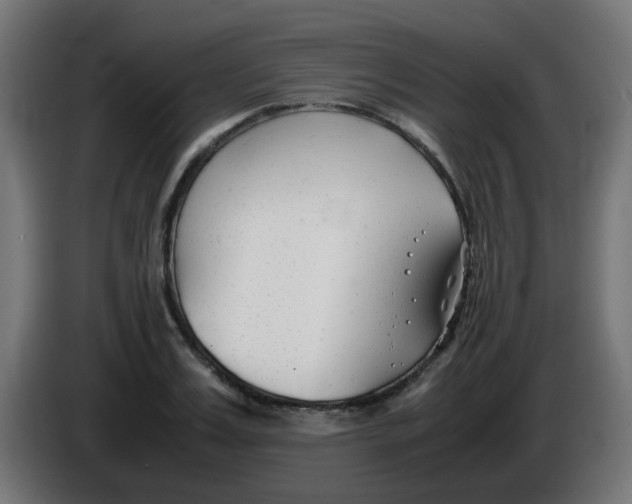 X0000086040987200704131931