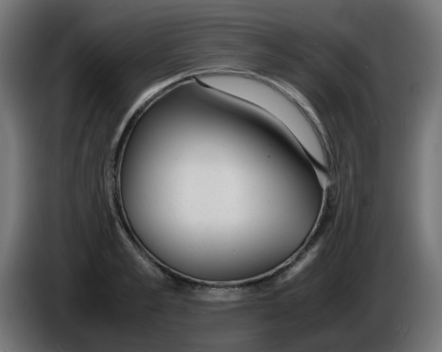 X0000086040989200704131931